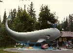Thumb 
for Image11.jpg (148 
KB)