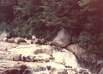 Thumb 
for Image41.jpg (137 
KB)