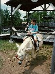 Thumb 
for Image82.jpg (136 
KB)